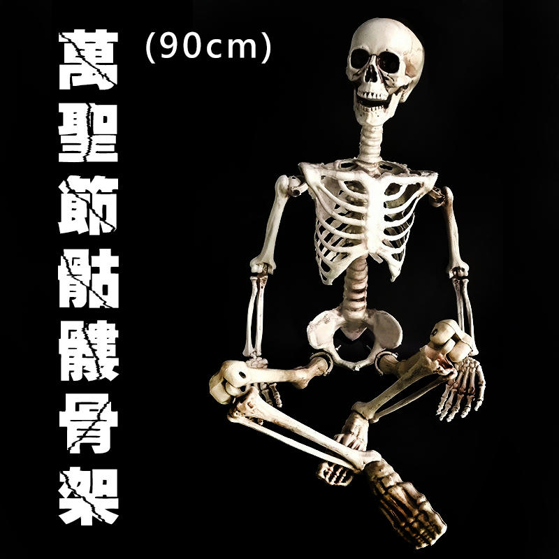 萬聖節 全身骷髏 (90cm) 造型骷髏頭 骷髏骨架 人體骷顱頭 人體模型 布置 鬼屋 整人【W44001203】塔克