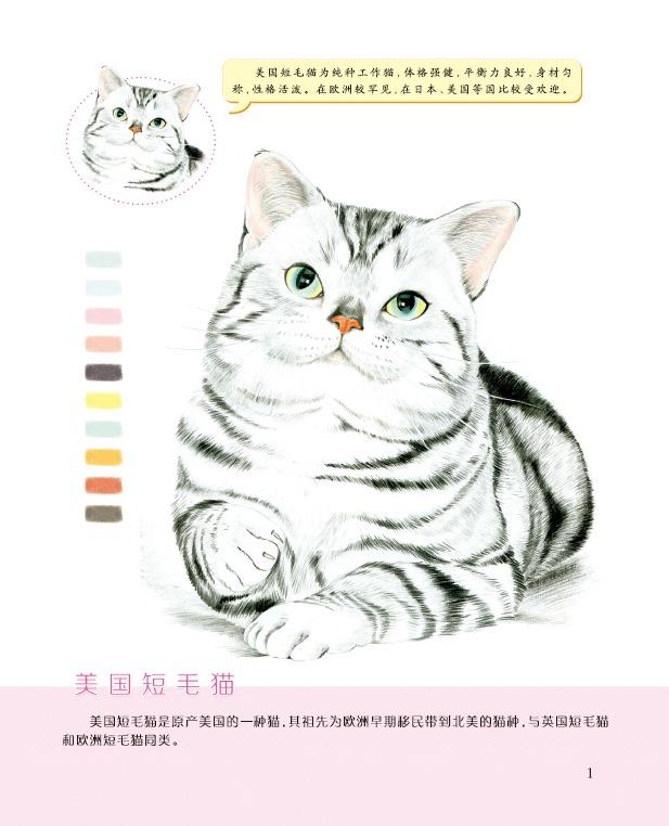 メール便送料無料対応可】 色鉛筆画A4 三毛猫.11 絵画 - blogs 