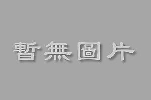 簡體書O城堡【象界：上海當代藝術家巡禮】 9787548609261 學林出版社 作者： 