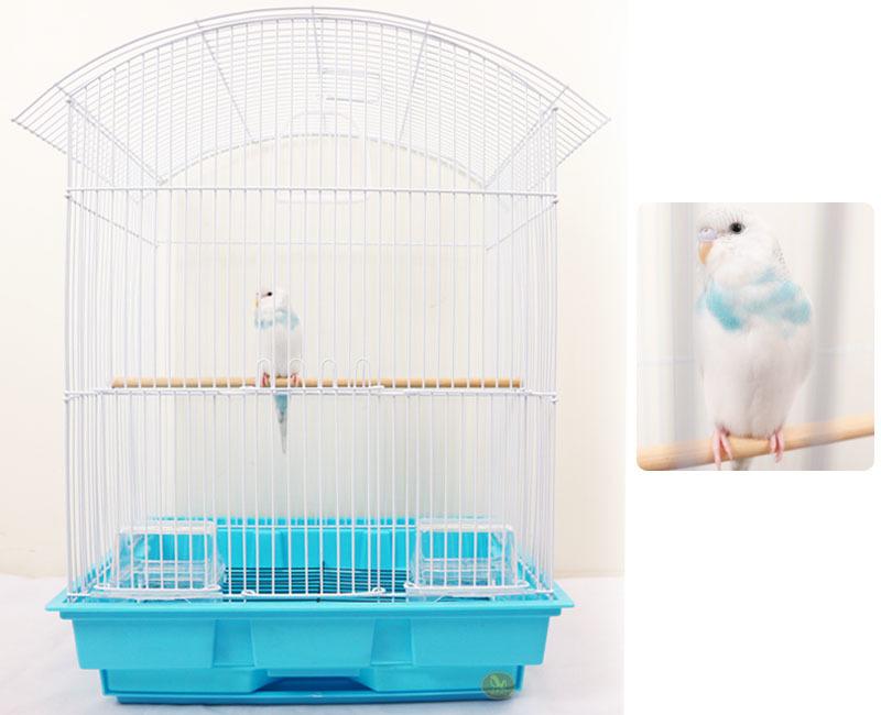 RDC236 白身藍底款 | 圓弧型鳥籠 | 細間距、好收納 | 適合小型、中小型鳥、蜜袋鼯