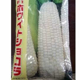 種子果樹香草菜苗 日本原裝水果玉米 北海道水果玉米 小包分裝