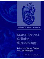 《Molecular And Cellular Glycobiology (Frontiers In Molecular Biology)》ISBN:0199638063│Oxford University Press, U.S.A.│九成