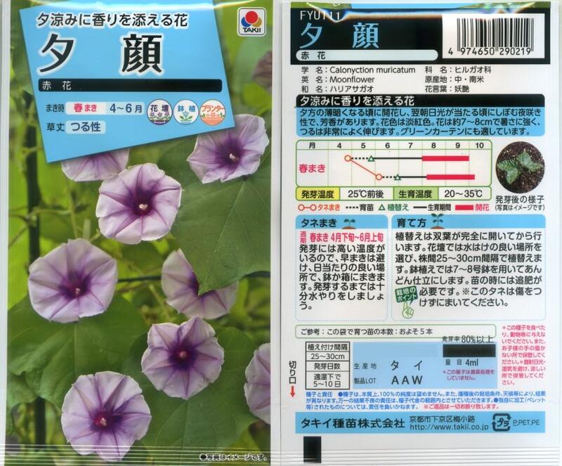 【花之鄉小舖】進口高級日本花卉種子--紅花夜牽牛