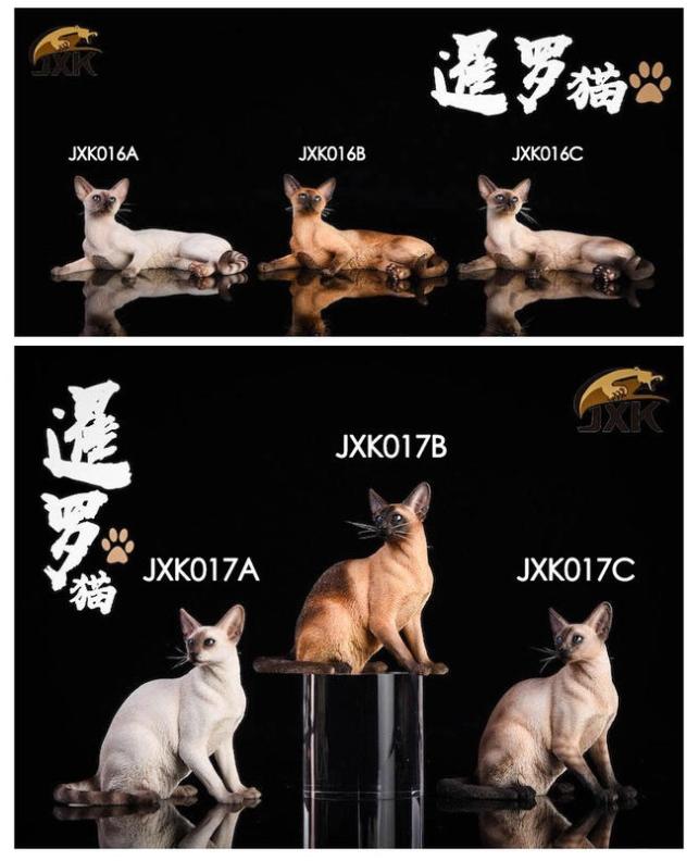 【那間模型】JXK 暹羅貓 1/6 貓 貓咪 小貓 模型 公仔 動物 寵物 玩具 裝飾 送禮 生日禮物