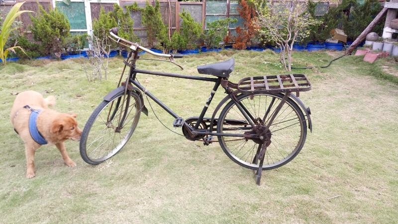 古董脚踏車