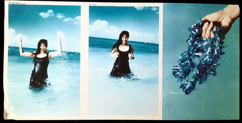 陽光小賣場二手館】杏里ANRI《Angel Whisper-Concert in Hawaii-》雷射