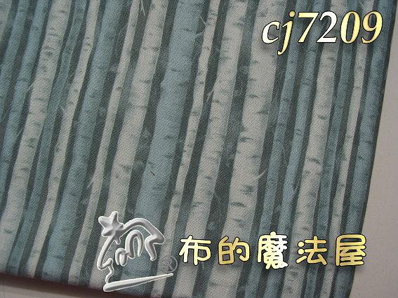 【布的魔法屋】cj7209古典系列條紋布LECIEN日本進口布(拼布布料/拼布材料/手工藝材料/縫紉用品/拼布包包)
