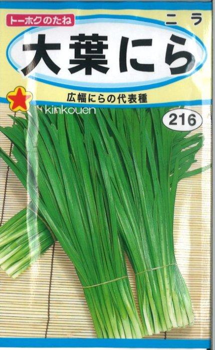 日本大葉韭菜種子800粒50元
