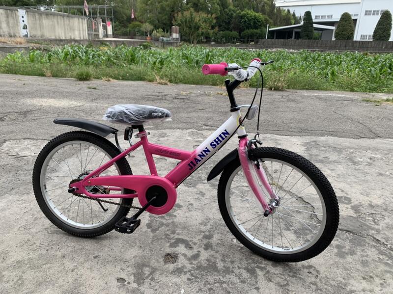 JS童車館【20吋】台灣製造 光彩亮漆 粉紅 鏈蓋 前後煞車 小朋友腳踏車 女生 童車 兒童車 禮物
