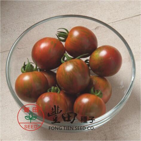 【野菜部屋~】L50 209條紋蕃茄種子10粒 , 圓型條紋蕃茄 , 紫色帶綠色條紋 , 蕃茄味道濃郁 , 每包15元~