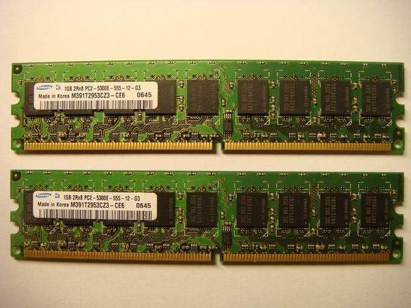 DDR2 2G 2GB【1G 2支 共2G 】 667 ECC PC-2 5300 三星 SAMSUNG