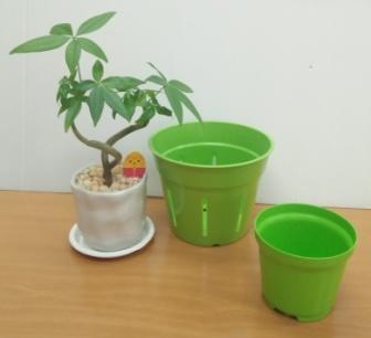 環保材質 植物製成 100%完全可分解PLA花盆(3 吋/厚度1mm)