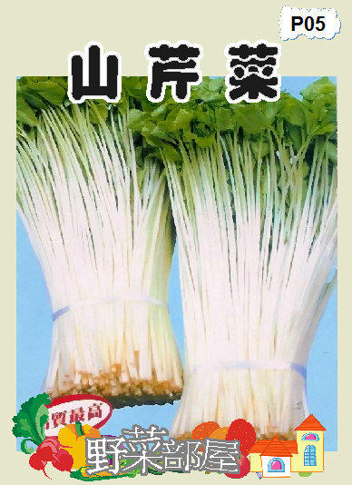 【野菜部屋~】P05日本山芹菜種子1.8公克 , 又稱"鴨兒芹" , 每包15元~