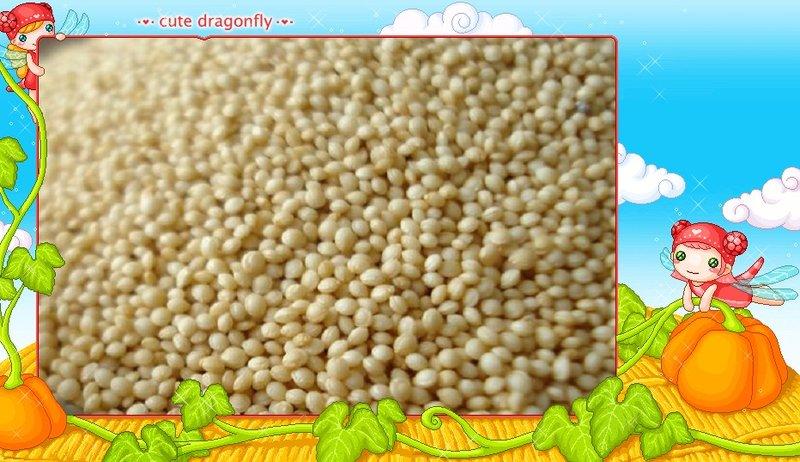 1000g~ 穀王 莧籽 莧米 超級強鹼穀物 高蛋白 可與藜麥搭配 營養加分 1公斤裝