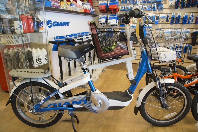 GIANT EA131 EA202 EA331 EA101 捷安特 電動腳踏車兒童座椅 安全座椅 電動自行車 裝好的樣子
