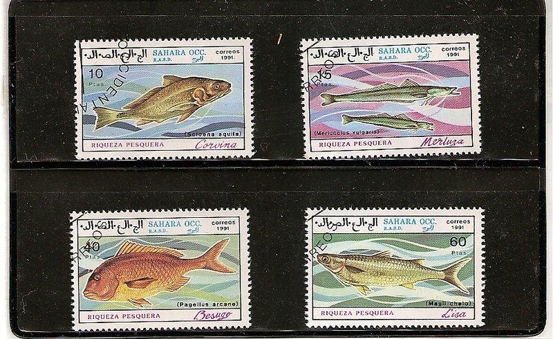 【流動郵幣世界】北非沙哈拉地區1991年魚類銷印郵票(此標有送照片中小黑卡)
