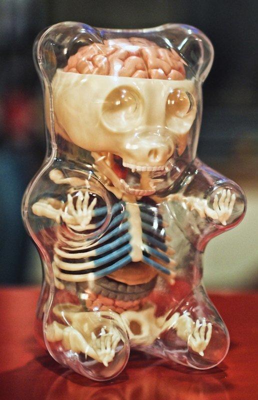 設計師Jason Freeny anatomy Gummi bear gummy 解剖熊  michael lau