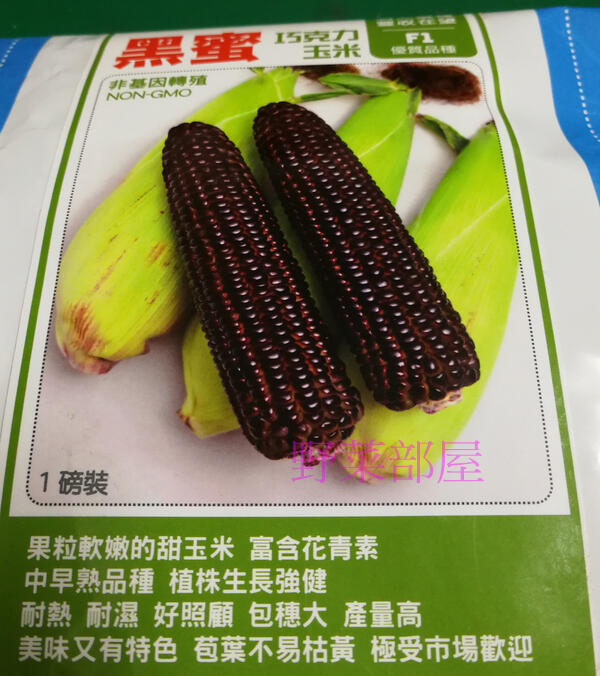 【野菜部屋~大包裝】N19 黑蜜巧克力玉米種子1磅 , 軟嫩的甜玉米,富含花青素 , 每包680元~