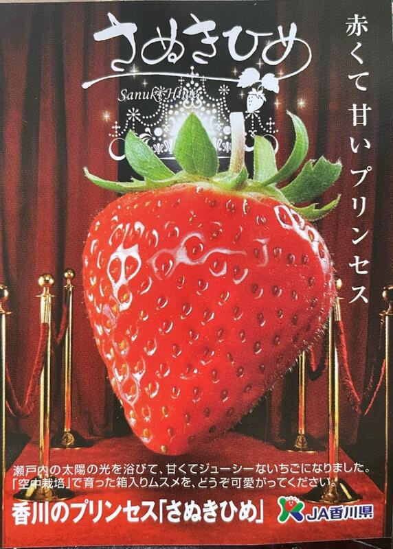 日本草莓.草莓苗. 香川 讚歧公主(さぬきひめ)草莓種子