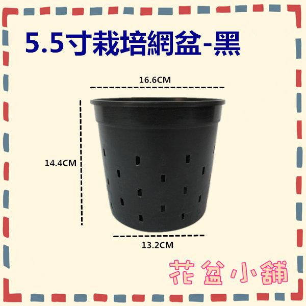 【花盆小舖】5.5寸栽培網盆(#5502) (一件160個) 台灣製/栽培盆/塑膠花盆/地植盆