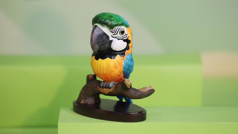 【那間模型】CG鸚鵡工作室金剛鸚鵡和尚鸚鵡太陽鸚鵡葵花鸚鵡鳥類 