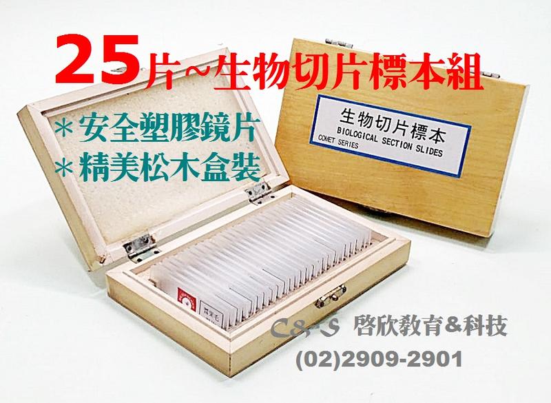 【切片標本組】 動/植物 安全-PS塑膠片x 25片 中文對照 木盒~配合國中、小教學課程需求製作