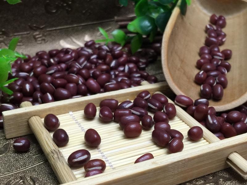 【小農夫國產豆類】國產落日紅豆(500g) / 台灣紅豆