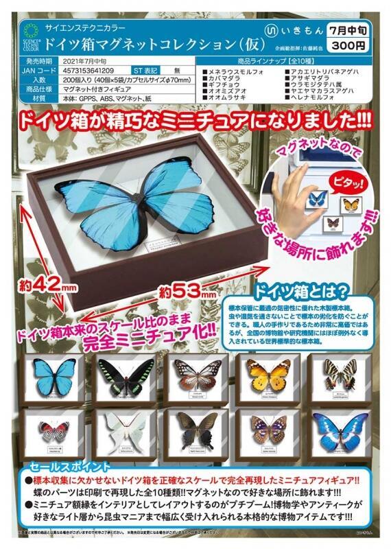 オオムラサキ蝶 標本 昆虫 10枚 日本産蝶類標本 オオムラサキ ギフチョウ×2 他 国産
