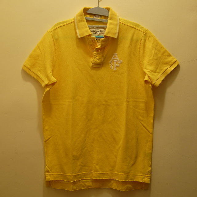 A&F(Abercromibe&Fitch)POLO(Beaver Point)現貨(台北 可面交)(P001)
