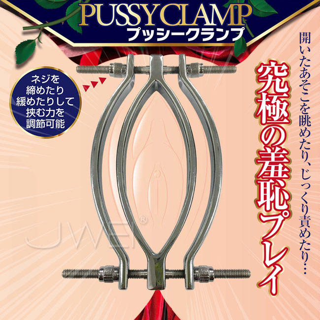 日本原裝進口A-ONE．PUSSY CLAMP 究極羞恥強制開陰器| 露天市集| 全台最大的網路購物市集