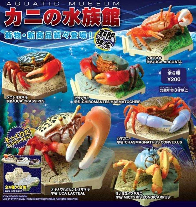 永貿 水族館系列 螃蟹篇  轉蛋 扭蛋 公仔 擺飾 全6種 整套販售