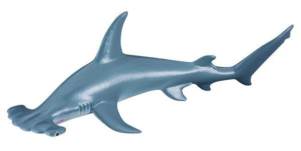 素食天堂~COLLECTA動物模型鎚頭鯊,Procon-190