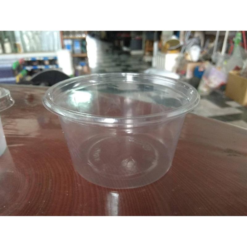 大兜蟲 鍬形蟲 寵物幼蟲 小型成蟲 飼養杯 250ml 250cc 高透明 密封佳
