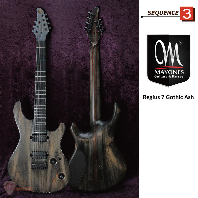 Mayones Regius 4Ever 6弦ギター - ギター