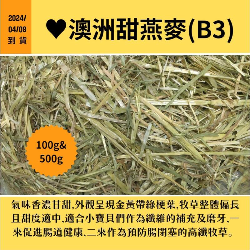 甜燕麥(B3款)《富兔康》♥澳洲甜燕麥(B3)100克、500克※氣味濃郁的高纖牧草