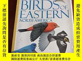 古文物National罕見Geographic Field Guide to the Birds of Eastern 