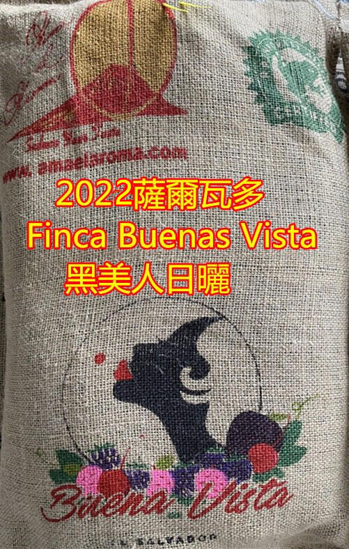 2022(一定要推薦CP值好豆)薩爾瓦多 Finca Buenas Vista 黑美人日曬一公斤裝生豆