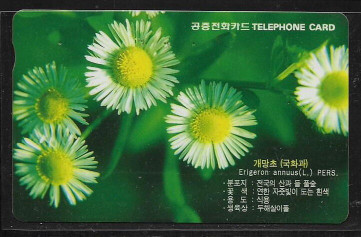 各類型卡 韓國卡片 花卉電話卡  K-008-31 - (植物專題)
