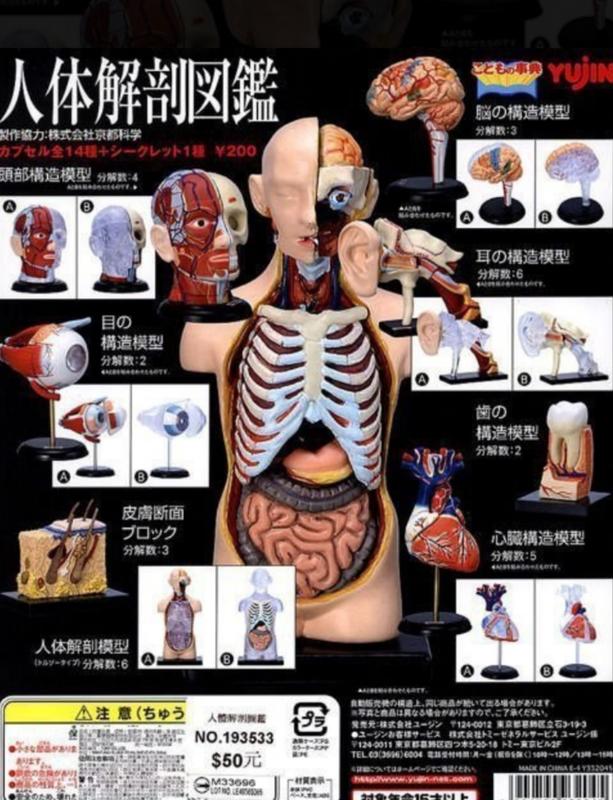 絕版品出清】YUJIN 人體解剖圖鑑大全套15款| 露天市集| 全台最大