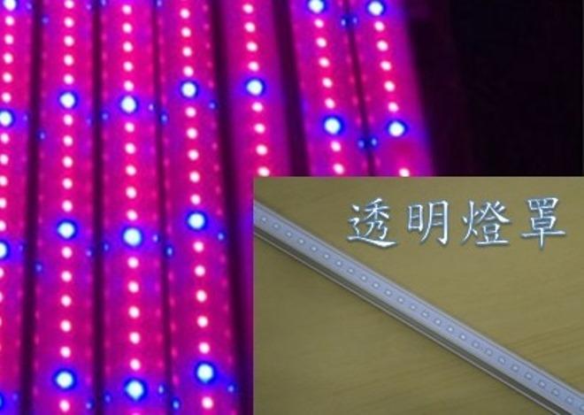 LED 植物燈 水族燈  T5 4呎/3呎/2呎 波長 紅(660nm)藍(450nm)(5紅1藍組合)