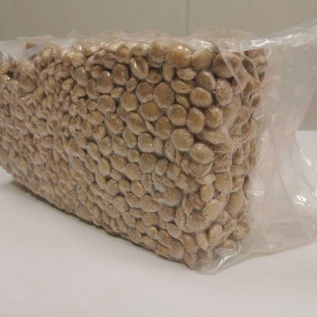 光禾館~印加果油 白豆 350/公斤 黑豆250/公斤可以榨油 炒食 出油率高