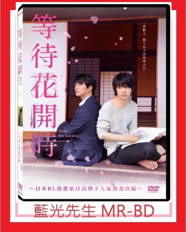 [藍光先生DVD] 等待花開時 Does the Flower Bloom？ (天空正版) 5/24發行 露天市集 全台最大的網路購物市集
