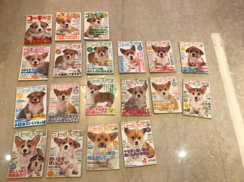9.9新 日本 雜誌 日雜 柯基 小狗 飼主 教學 可愛 日文 雜誌收藏 共19本 此為1本價格 雜誌 寵物 狗 收藏品