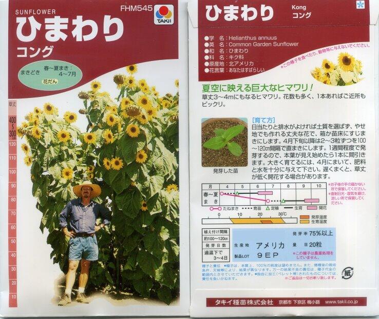 【花之鄉小舖】進口高級日本花卉種子-巨型向日葵  巨人