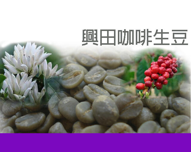 虎王 蘇島黃金曼特寧 G1  印尼 亞齊省 *特別大顆好豆【每包500公克】【興田咖啡生豆】