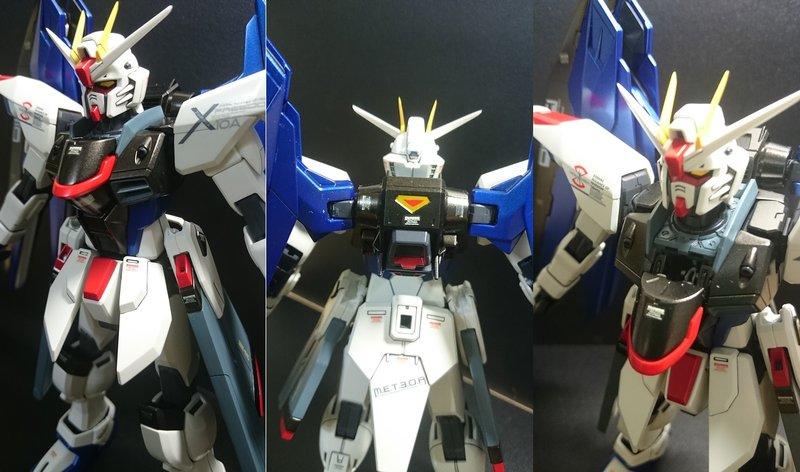 （降價）Bandai MG 1/100 自由鋼彈 Freedom Gundam 塗裝完成品 現貨