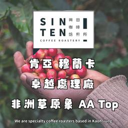 肯亞 穆蘭卡 卓越處理廠 非洲草原象 AA Top 【每包5...