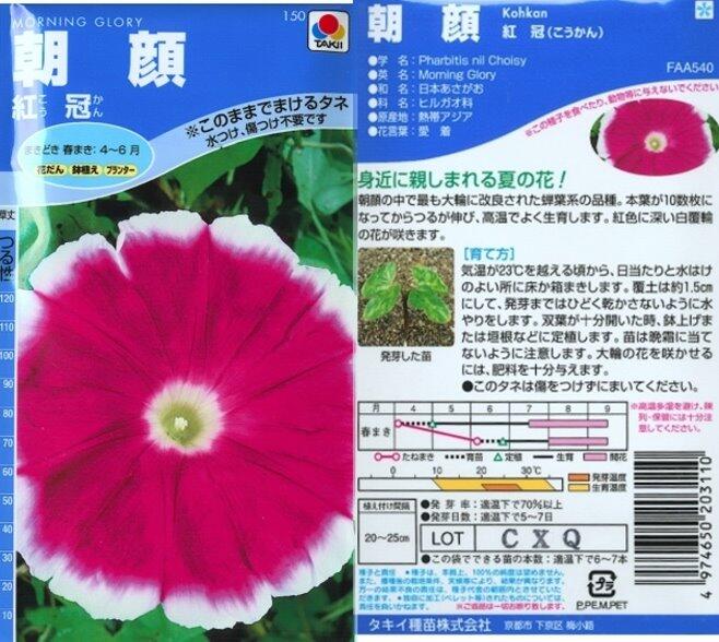 【花之鄉小舖】進口高級日本花卉種子--牽牛花  紅冠