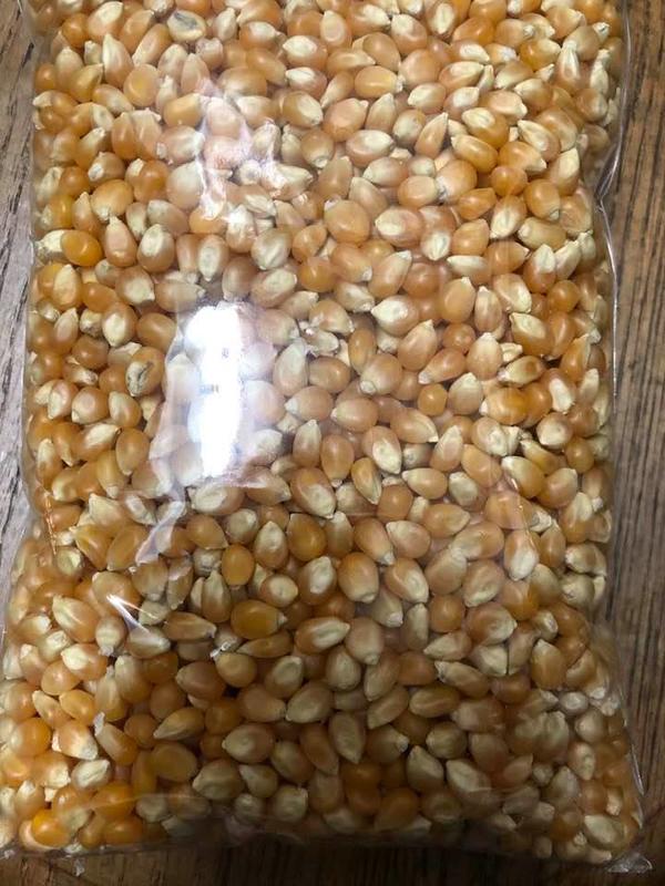 【民豐】非基因改造爆米花玉米粒 爆裂種玉米(600g) (可超商取貨付款)