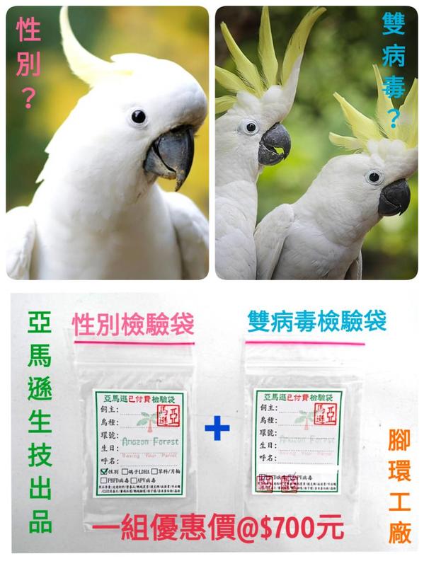 鳥寶性別+雙病毒檢驗袋一組(同一隻鳥寶適用)